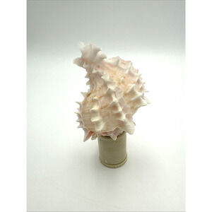 Vintage Pink Conch Shell Night Light Sea Shell Night Lights